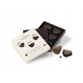 Sachet découverte 12 chocolats en poudre aromatisé 6 saveurs- Café-Tasse  CAFE TASSE